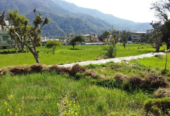  Agricultural Land for Sale in Tapovan, Rishikesh