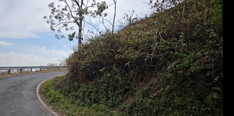  2400 Sq. Yards Agricultural/Farm Land for Sale in Narendra Nagar, Rishikesh