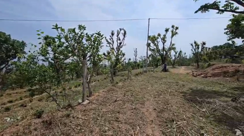  4 Bigha Agricultural/Farm Land for Sale in Narendra Nagar, Rishikesh