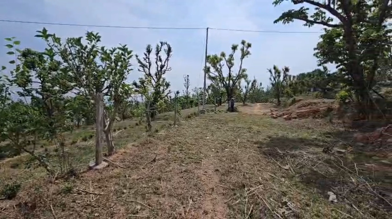  4 Bigha Agricultural/Farm Land for Sale in Narendra Nagar, Rishikesh