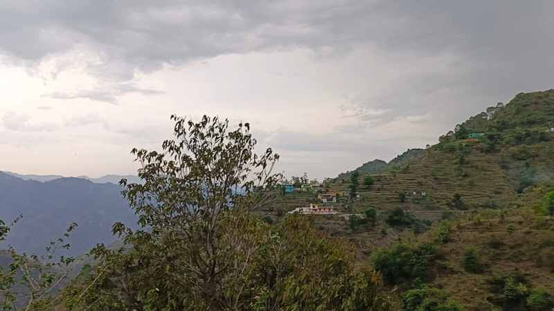  2 Acre Agricultural/Farm Land for Sale in Narendra Nagar, Rishikesh