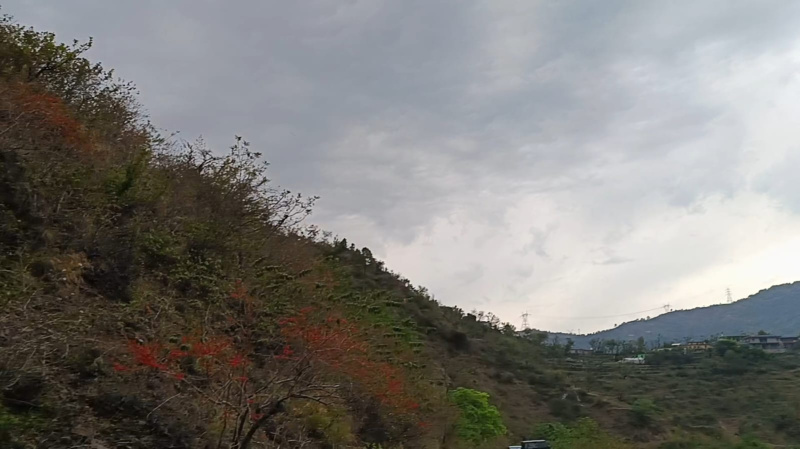  2 Acre Agricultural/Farm Land for Sale in Narendra Nagar, Rishikesh