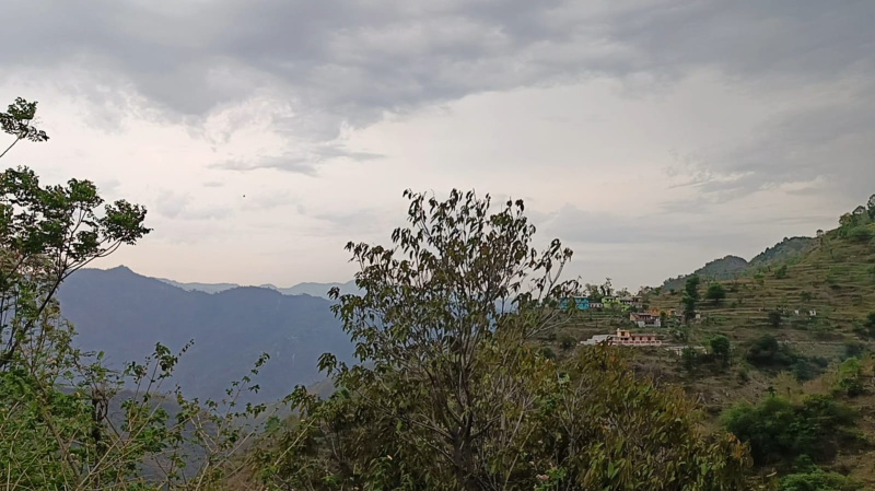 2 Acre Agricultural/Farm Land for Sale in Narendra Nagar, Rishikesh