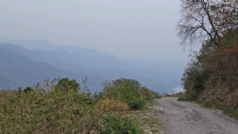  1 Acre Agricultural/Farm Land for Sale in Narendra, Tehri Garhwal