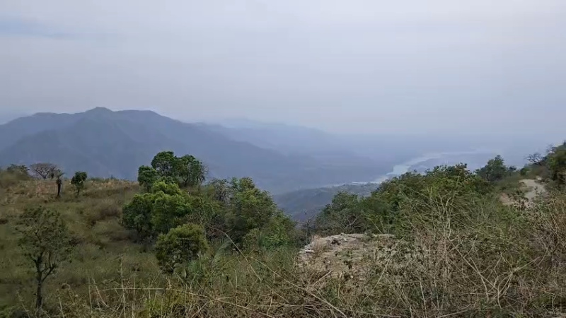  1 Acre Agricultural/Farm Land for Sale in Narendra, Tehri Garhwal