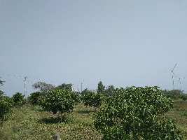  Agricultural Land for Sale in Varur, Hubli