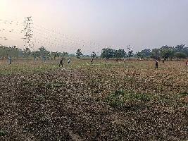  Agricultural Land for Sale in Ambernath, Thane
