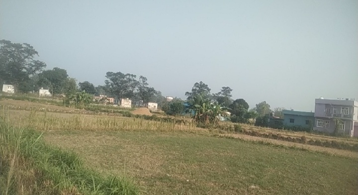  Residential Plot 665 Sq. Yards for Sale in Raiwala, Dehradun