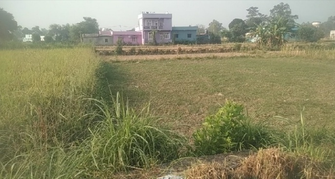  Residential Plot 665 Sq. Yards for Sale in Raiwala, Dehradun