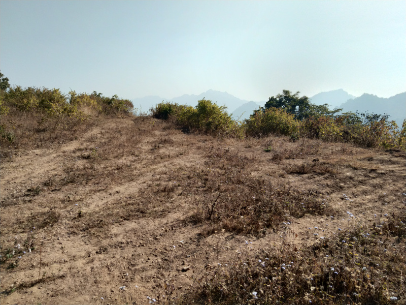  Residential Plot 6 Acre for Sale in Dhalwala, Rishikesh