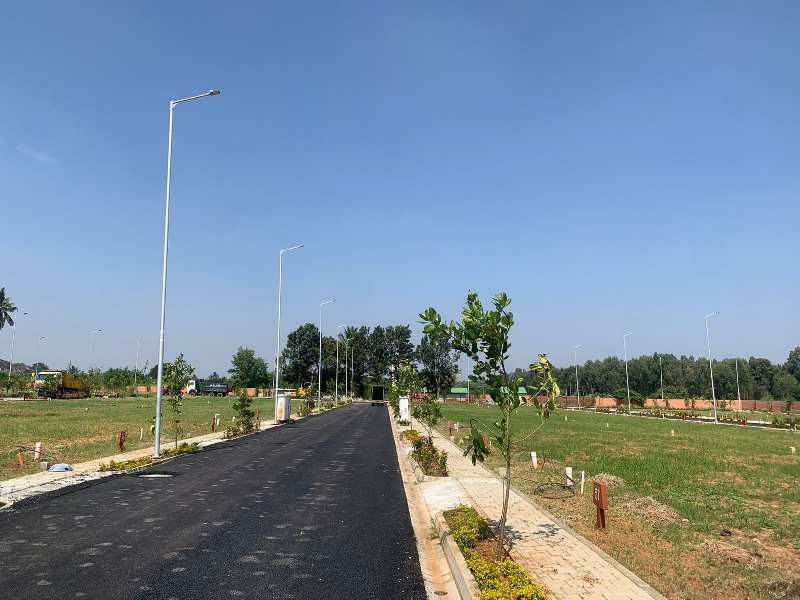 12000 Sq.ft. Residential Plot for Sale in Sarjapur Road, Bangalore