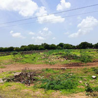  Commercial Land for Sale in Mundra Port, Kutch