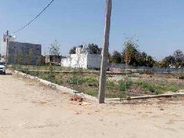  Residential Plot for Sale in Budhi Vihar, Moradabad