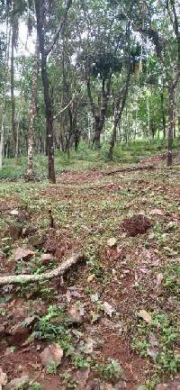  Residential Plot for Sale in Parappa, Kasaragod
