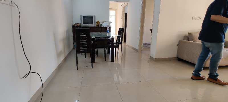 1 BHK Apartment 1800 Sq.ft. for PG in
