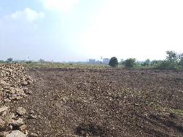  Agricultural Land for Sale in Chandshi, Nashik