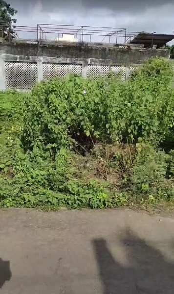  Residential Plot 2954 Sq.ft. for Sale in Bardoli, Surat
