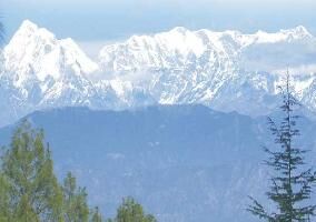  Residential Plot for Sale in Mukteshwar, Nainital