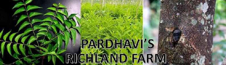  Agricultural Land 2904 Sq. Yards for Sale in Shadnagar, Hyderabad