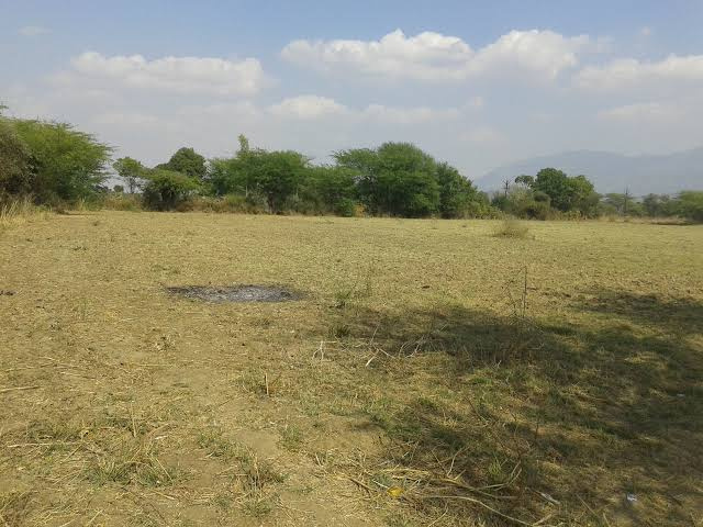Agricultural Land 29 Bigha for Sale in Dankaur, Gautam Buddha Nagar