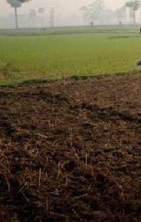  Agricultural Land for Rent in Chapra, Saran