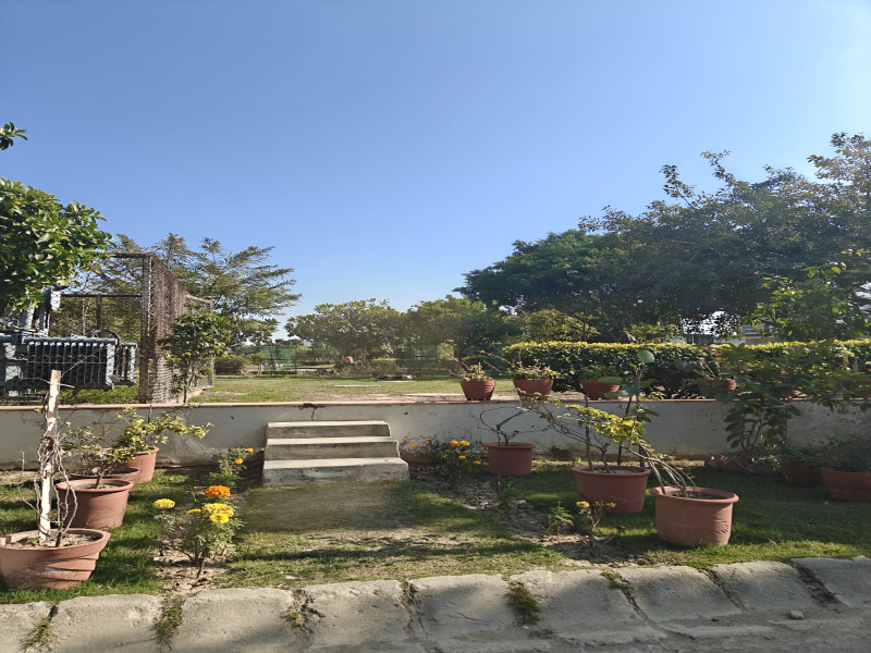  Residential Plot 250 Sq. Yards for Sale in Sector 104 Mohali