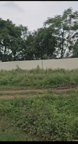 Pinjore, Panchkula photo 3