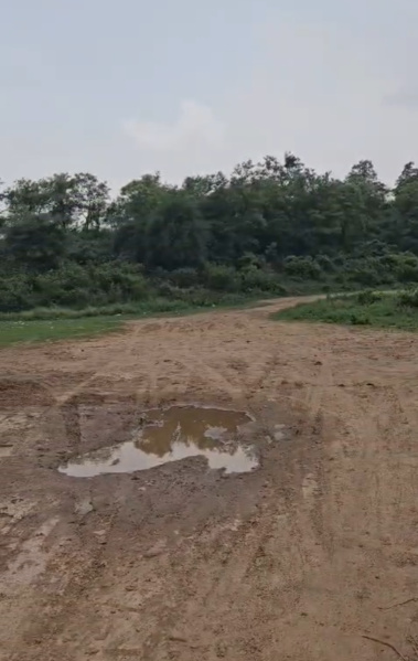 Pinjore, Panchkula photo 4
