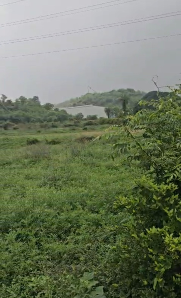 Pinjore, Panchkula photo 5