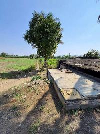  Agricultural Land for Rent in Uruli Devachi, Pune
