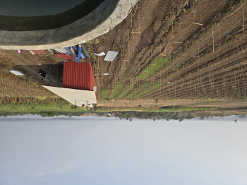  Agricultural Land for Rent in Dindori, Nashik