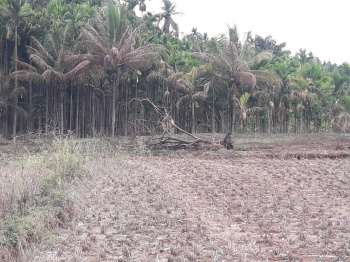  Agricultural Land for Sale in Arkalgud, Hassan