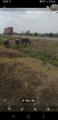  Agricultural Land for Sale in Wardha Road, Nagpur
