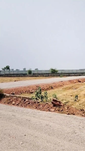  Residential Plot 800 Sq.ft. for Sale in Sejbahar, Raipur