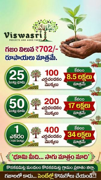  50 Cent Agricultural/Farm Land for Sale in Konakanamitla, Prakasam