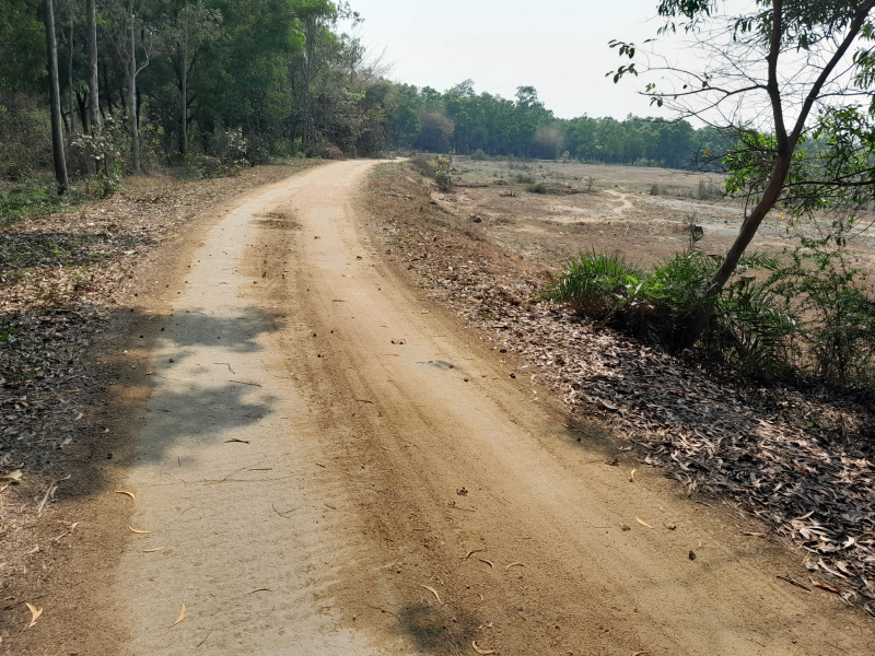 Bankra, Howrah photo 3