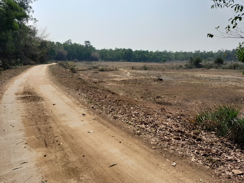 Bankra, Howrah photo 4