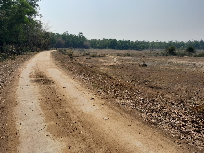 Bankra, Howrah photo 5