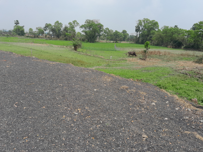 Shyampur, Durgapur photo 4