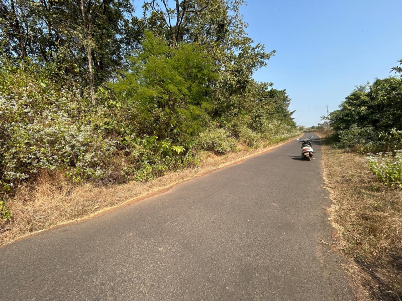  6 Acre Agricultural/Farm Land for Sale in Kankavli, Sindhudurg