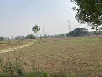  Agricultural Land for Sale in SAS Nagar, Mohali