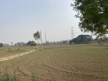  Agricultural Land for Sale in Chandigarh Patiala Highway, Zirakpur