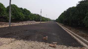  Agricultural Land for Sale in Sitapur Road, Lucknow