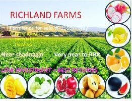  Agricultural Land for Sale in Shadnagar, Hyderabad