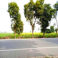  Agricultural Land for Sale in Nandgaon , Mathura