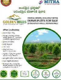  Agricultural Land for Sale in Raghunathapally, Warangal