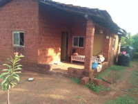  Agricultural Land for Sale in Dapoli, Ratnagiri