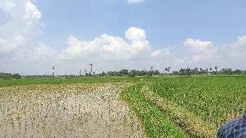  Agricultural Land for Sale in Kakinada Pithapuram Road