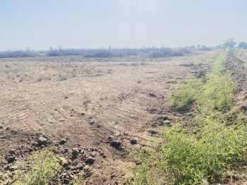  Agricultural Land for Sale in Abdasa, Kutch