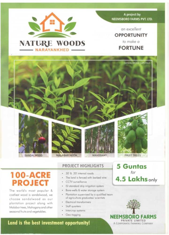 Agricultural Land 303 Sq. Yards for Sale in Narayankhed, Sangareddy